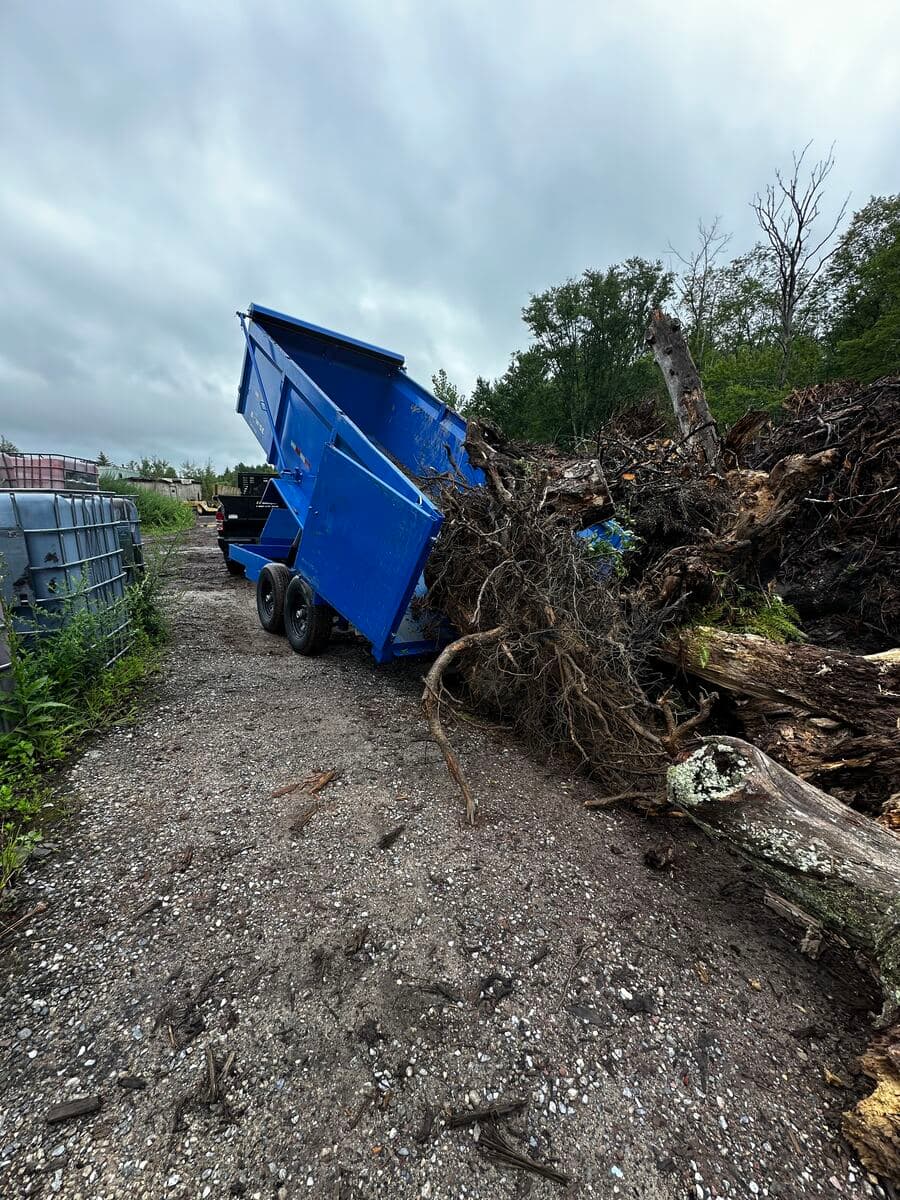 Debris hauling and brush removal job