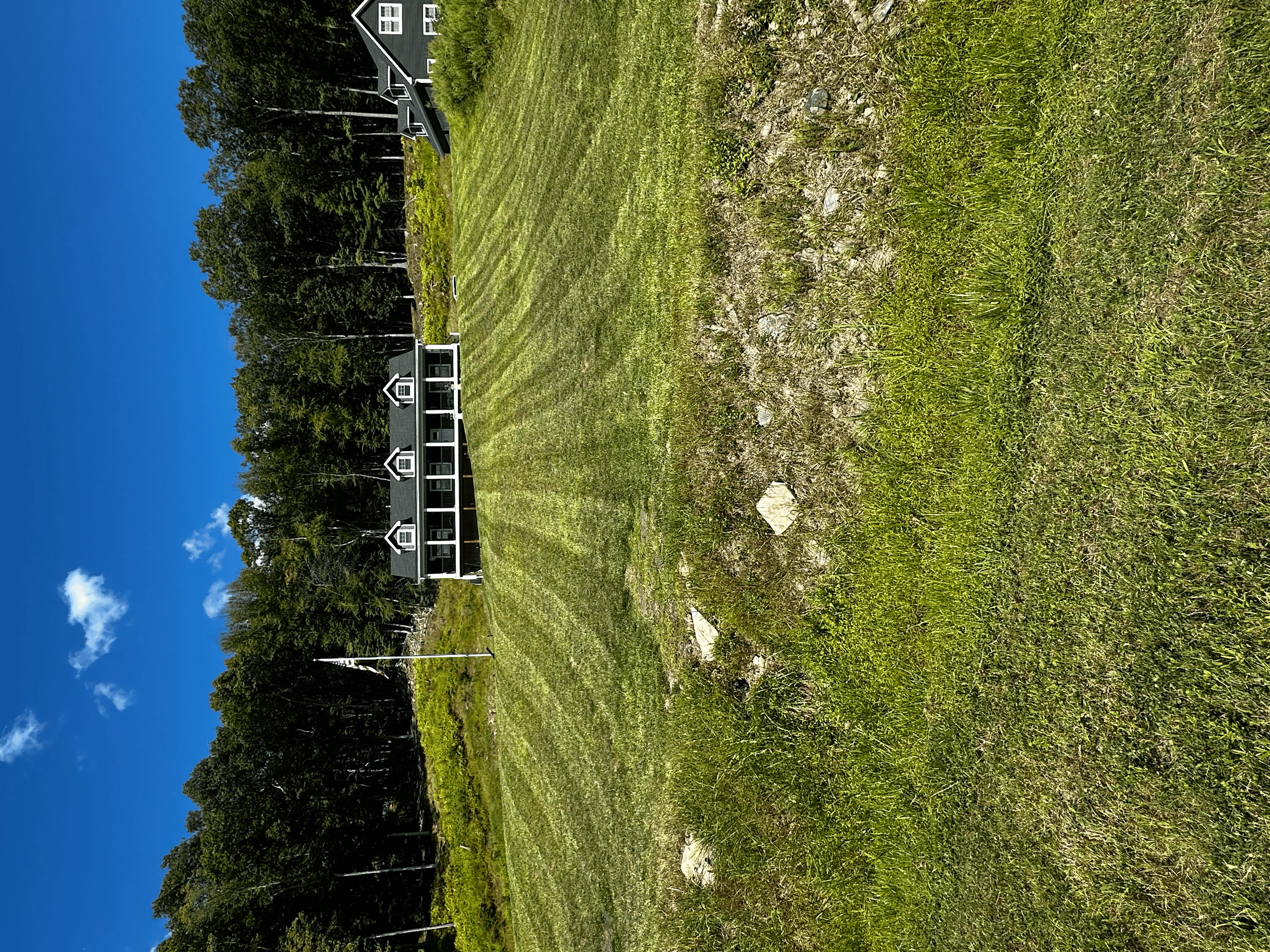 Stone walkway landscaping project